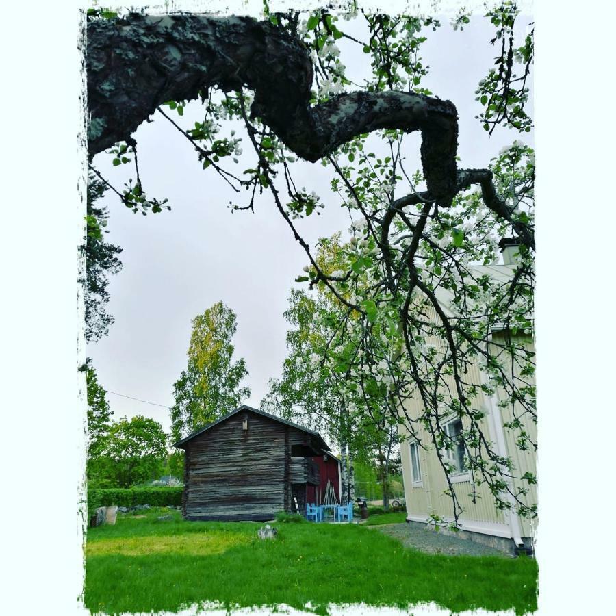 Willa Mustijoki Laukkoski Luaran gambar