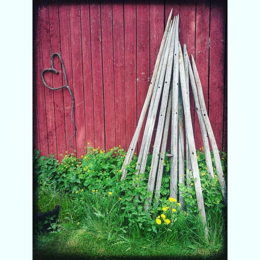 Willa Mustijoki Laukkoski Luaran gambar