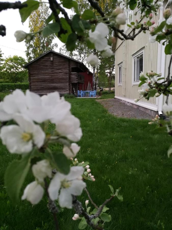 Willa Mustijoki Laukkoski Luaran gambar
